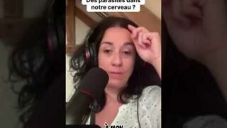 Des parasites dans le cerveau : quel impact sur nos humeurs ?