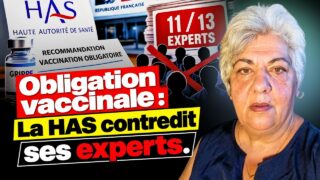 Grippe : la HAS recommande l’obligation vaccinale malgré l’avis de 11 experts sur 13 — C. Bouissou