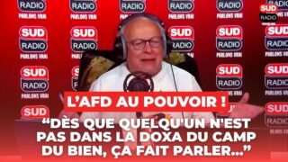 L’AfD, le petit panzer qui faisait trembler les bien-pensants