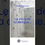 Le virus de la Dengue et le rôle sentinelle du CNR des Arbovirus – Unité des Virus Emergents Le virus de la Dengue et le rôle sentinelle du CNR des Arbovirus – Unité des Virus Emergents