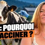 L’État défend sa campagne de vaccination, une éleveuse conteste point par point — F. Verheyen-Valade L’État défend sa campagne de vaccination, une éleveuse conteste point par point — F. Verheyen-Valade