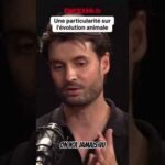 L’évolution : un processus régi par le hasard ou une mécanique cachée ? L’évolution : un processus régi par le hasard ou une mécanique cachée ?