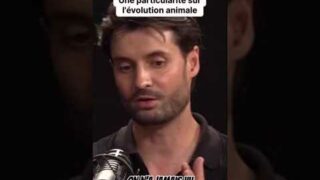 L&rsquo;évolution : un processus régi par le hasard ou une mécanique cachée ?
