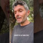 Polémiques médiatiques
