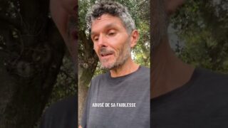 Polémiques médiatiques