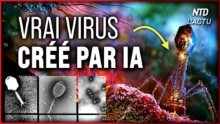 Une IA vient de créer 16 virus synthétiques fonctionnels Une IA vient de créer 16 virus synthétiques fonctionnels