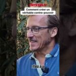 Comment créer un véritable contre-pouvoir ? Comment créer un véritable contre-pouvoir ?