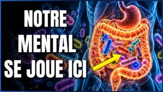 Comment notre microbiote influence nos décisions à notre insu
