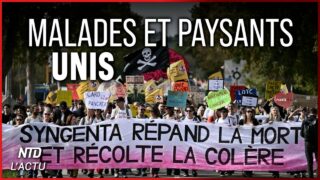 Des milliers de manifestants défient un géant des pesticides en Normandie