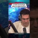 La technologie extraordinaire présente chez la cigale bossue La technologie extraordinaire présente chez la cigale bossue