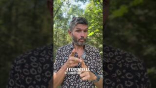 Le complexe moteur migrant, quand votre ventre gargouille vous n&rsquo;avez pas faim, c&rsquo;est le nettoyage