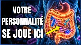 Microbiote : Ses milliards de bactéries influencent nos décisions et notre santé