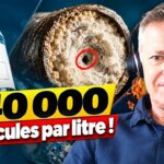 Microplastiques dans l’eau en bouteille : une pollution plus importante qu’on ne l’imagine Microplastiques dans l’eau en bouteille : une pollution plus importante qu’on ne l’imagine