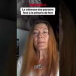 Pénurie de foin : la détresse silencieuse de nos éleveurs ! Pénurie de foin : la détresse silencieuse de nos éleveurs !