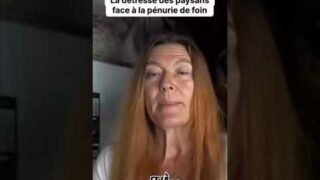 Pénurie de foin : la détresse silencieuse de nos éleveurs !