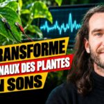Plantes, sons, fréquences : ce que Renaud Ruhlmann veut nous faire entendre