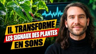 Plantes, sons, fréquences : ce que Renaud Ruhlmann veut nous faire entendre