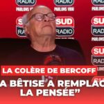 Quand la bêtise a remplacé la pensée Quand la bêtise a remplacé la pensée