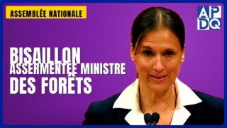 🌲 Réforme forestière et ressources naturelles : ce que promet le nouveau gouvernement PQ