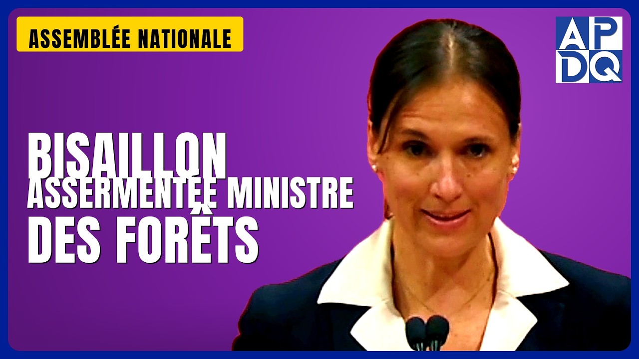 🌲 Réforme forestière et ressources naturelles : ce que promet le nouveau gouvernement PQ 🌲 Réforme forestière et ressources naturelles : ce que promet le nouveau gouvernement PQ