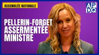 🧠 Santé mentale, DPJ, réforme électorale : le mandat de la nouvelle ministre Pellerin-Forget 🧠 Santé mentale, DPJ, réforme électorale : le mandat de la nouvelle ministre Pellerin-Forget