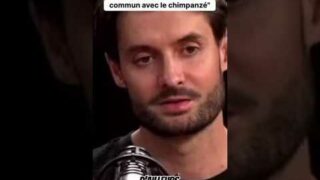 Sommes-nous vraiment des chimpanzés ? La réponse va vous surprendre !