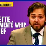 🏛️ William Fradette assermenté whip en chef du gouvernement PQ